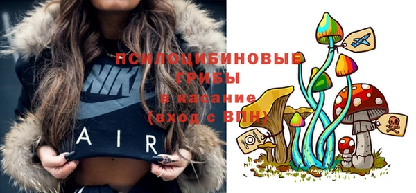 мескалин Надым
