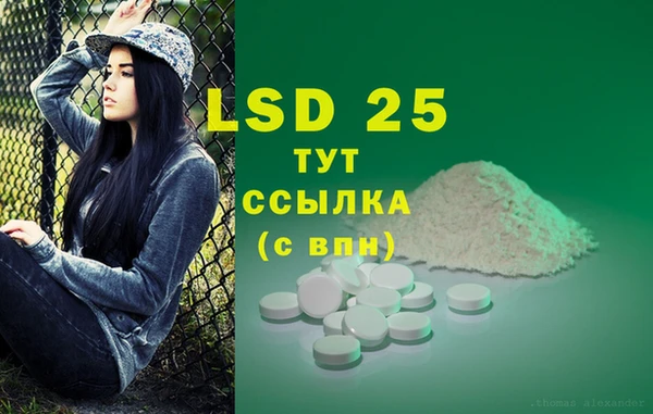 гидра Алексин