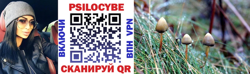 Псилоцибиновые грибы мицелий  блэк спрут онион  Добрянка 