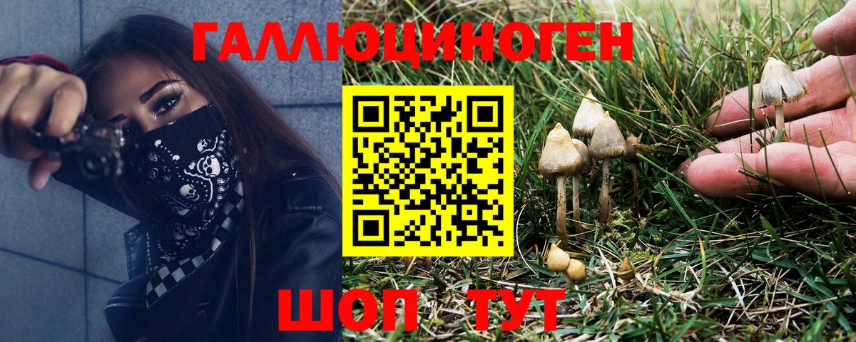 Добрянка  Галлюциногенные грибы Magic Shrooms  Псилоцибиновые грибы прущие грибы  Вход с VPN 